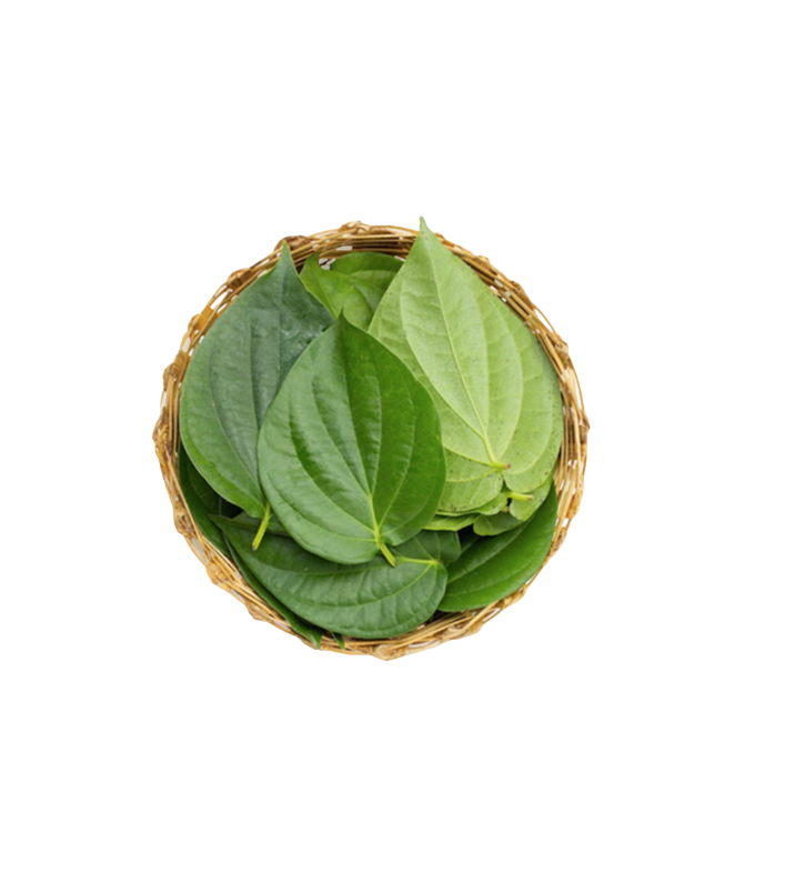 Betal leaf/stk