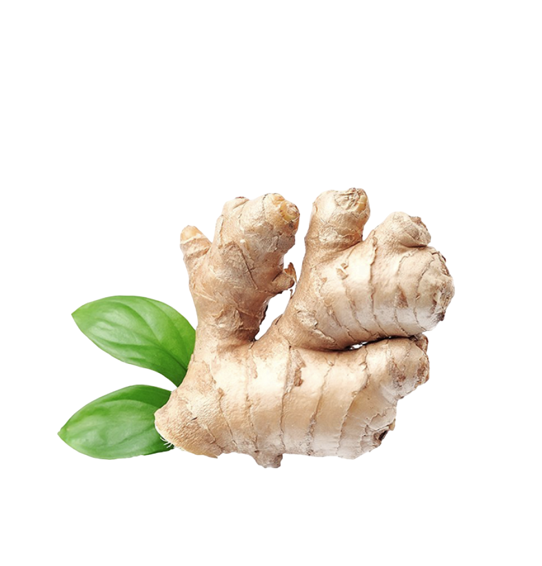 Fresh Ginger