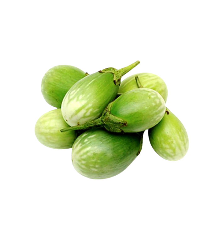 Green brinjal