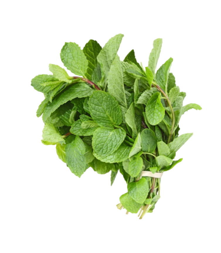 Mint/stk