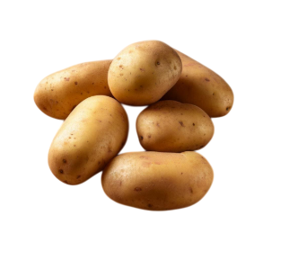 Potato